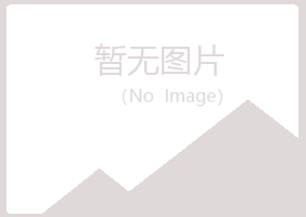 南京白山化学有限公司